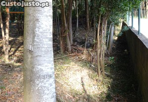 imagem_24