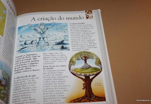 imagem_4