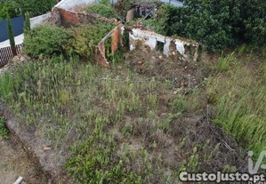 imagem_7