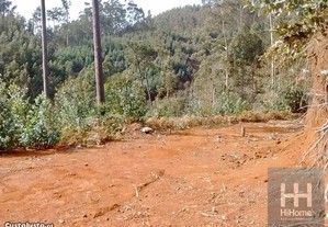 Terreno Florestal No Ribeiro Serrão Com 10.000 M2