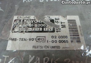 imagem_3