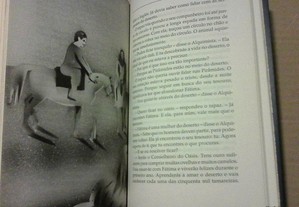 imagem_8