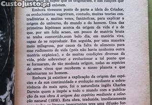 imagem_11