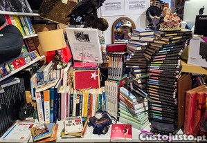 imagem_3