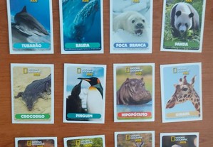 Cromos Auchan national Geographic