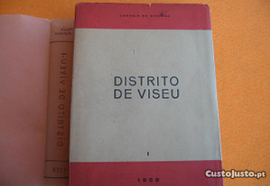Distrito de Viseu - 1958