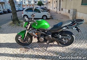 imagem_1