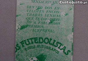 imagem_2