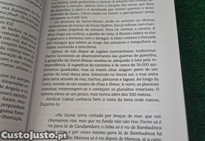 imagem_6