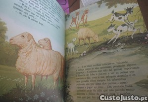 imagem_7