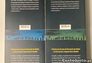 imagem_4
