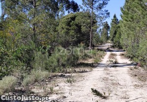 Terreno Urbano Em Melides