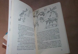 imagem_5