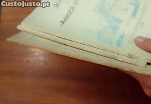 imagem_14