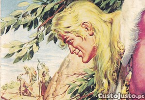 imagem_1