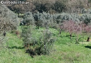 Terreno Misto C/ 2100 M2 Sendo 625 M2 Urbanos |...