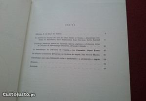 imagem_7