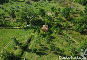 imagem_36