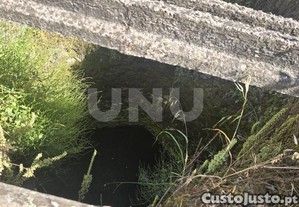 imagem_10