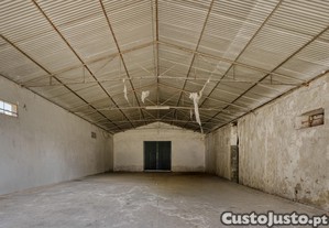 imagem_3