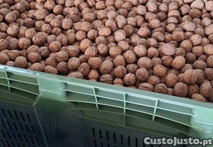 Nozes Chandler a granel