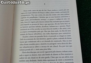 imagem_5