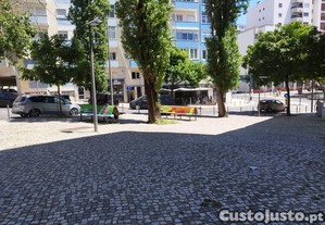 imagem_6