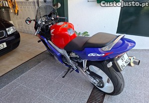 imagem_8