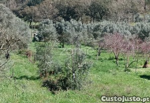 Terreno Misto C/ 2100 M2 Sendo 625 M2 Urbanos |...