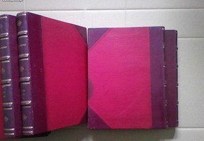 imagem_3