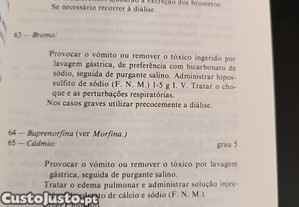 imagem_5