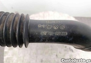imagem_3
