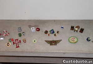 imagem_1