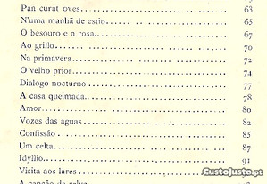 imagem_7