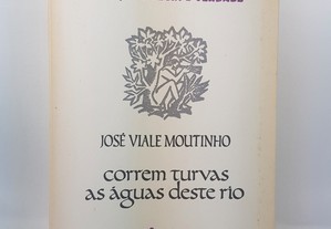 POESIA José Viale Moutinho // correm turvas as águas deste rio 1982
