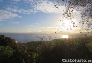Terreno Em Benfeitoria Na Freguesiade Santo Antoni
