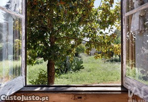 imagem_15