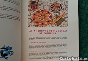 imagem_6