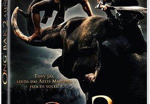 imagem_4