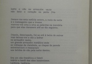 imagem_2