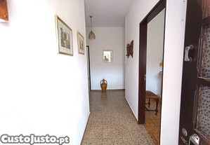 imagem_8