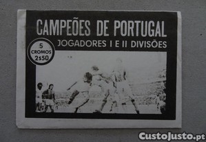 imagem_1