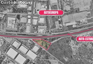 Terreno Industrial Com 38.250M2 Na Quinta Do...