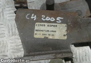 imagem_3