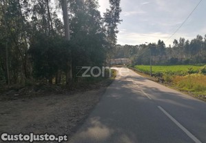Terreno Rustico Com 25.000 M2 Em Fradelos...