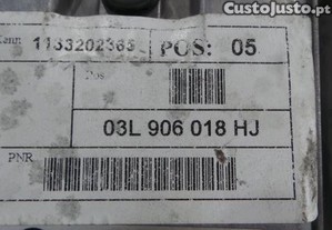 imagem_5