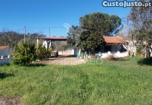 imagem_16