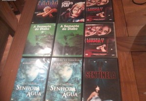 imagem_6