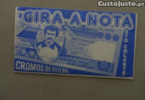 imagem_1