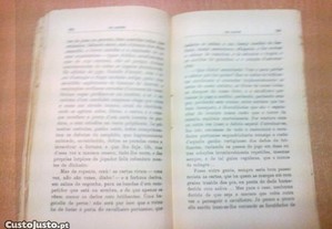 imagem_8